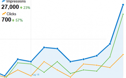 Small Business SEO